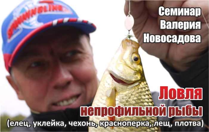 Изображение 1 : Новый семинар от Валерия Новосадова: «Ловля непрофильной рыбы»